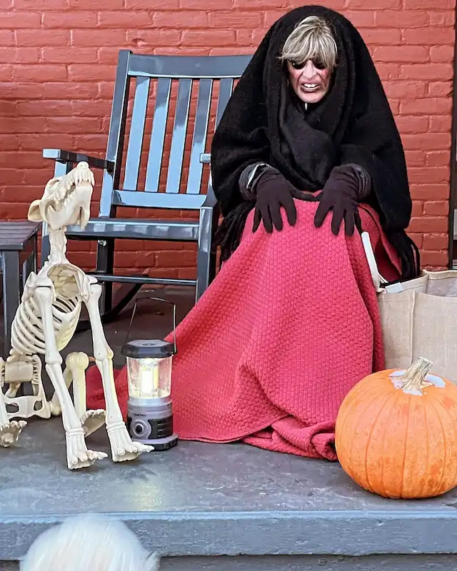 13 Halloween Costume Ideas for Grandma 2 halloween costume ideas for grandma