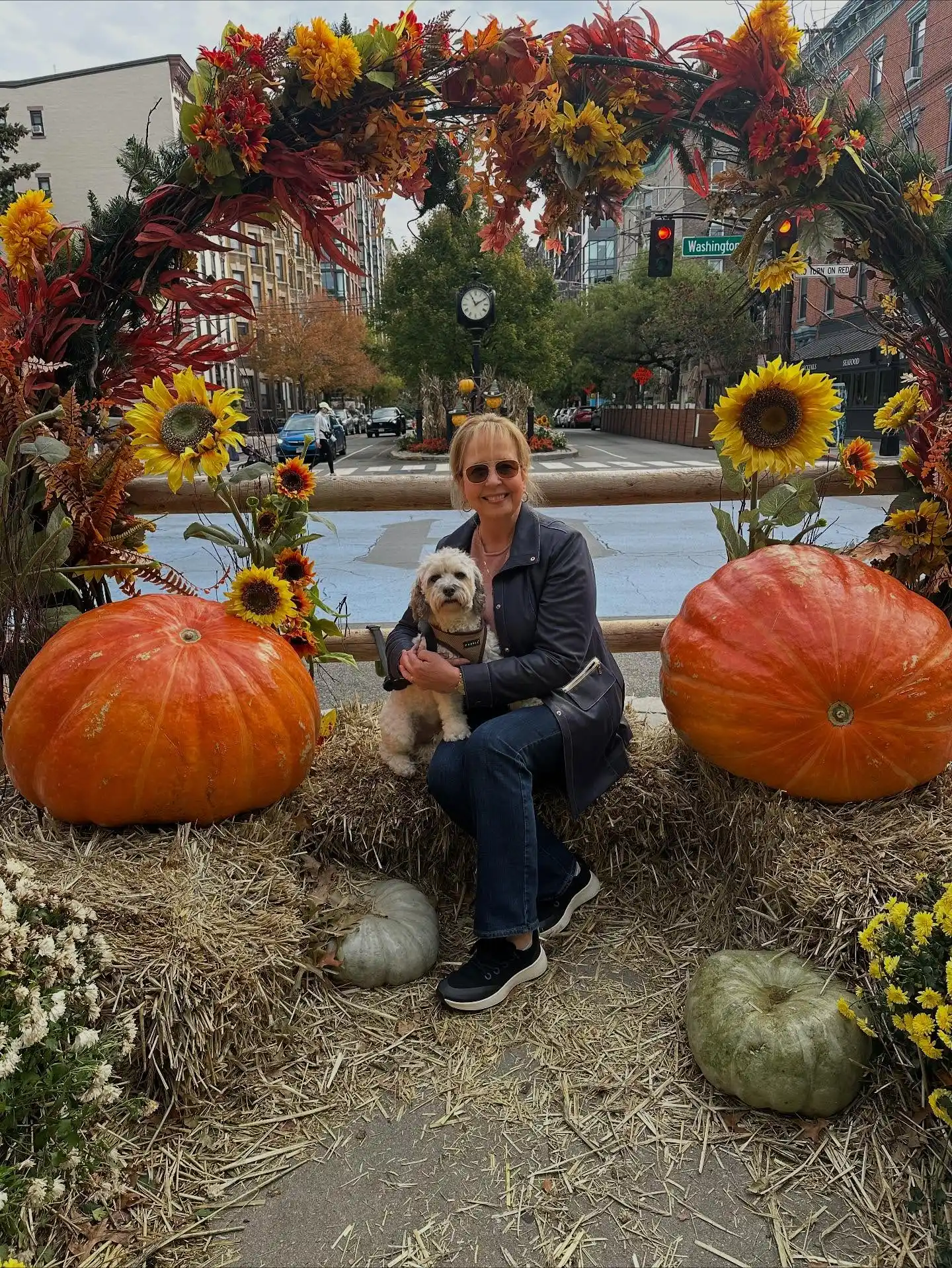 cozy fall outfits for plus size petite women over 50
