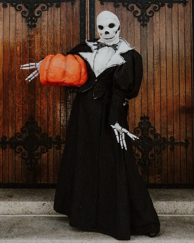 Unique Halloween Costume Ideas for Plus Size Women 